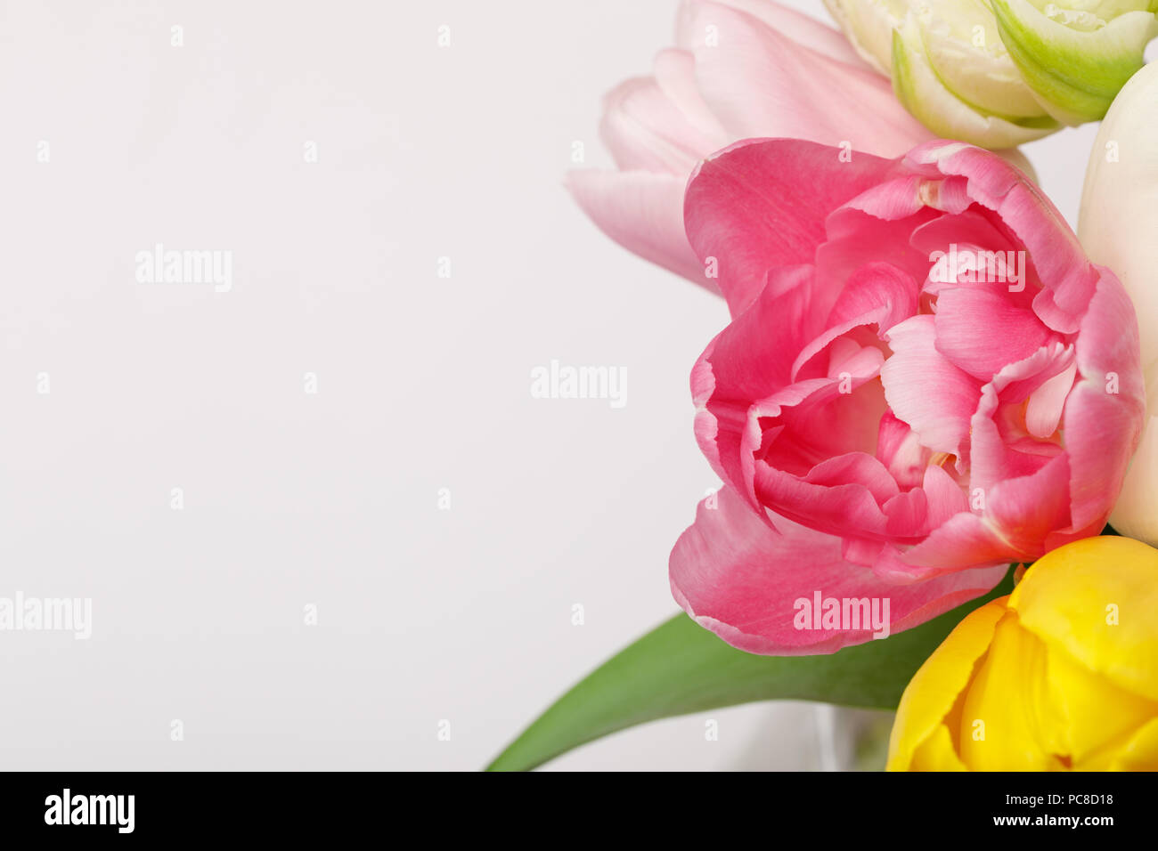 Bouquet of colorful tulips isolated on white background Stock Photo - Alamy