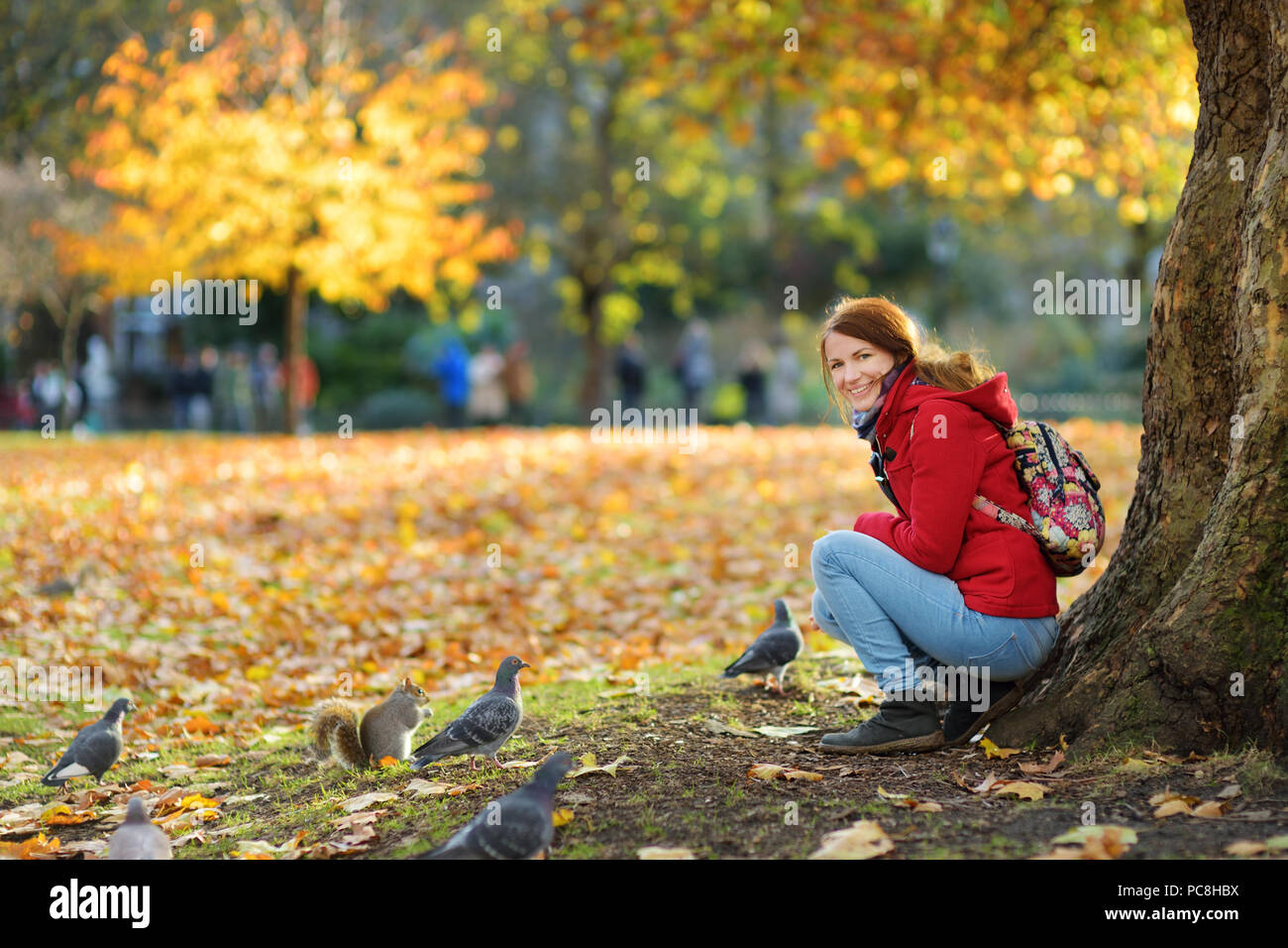 Feeding squirrels hires stock photography and images Alamy