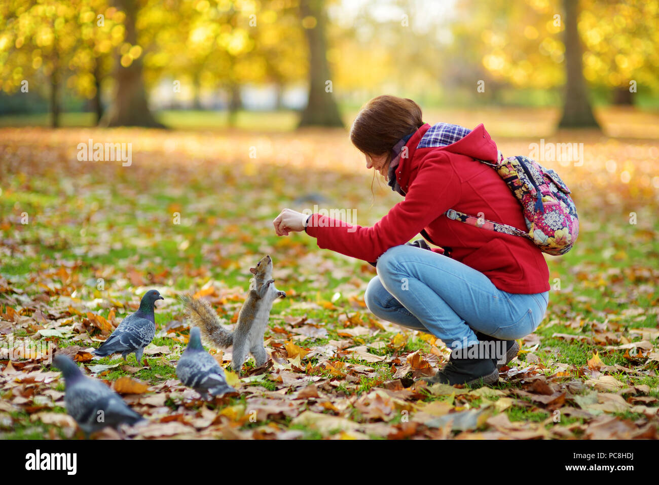 Young female tourist feeding squirrels and pigeon in St James's Park in