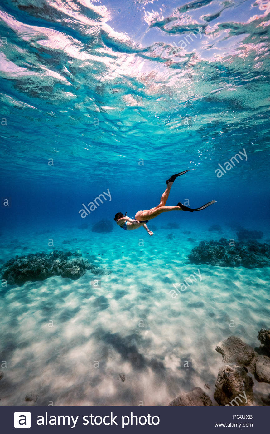 A woman snorkeling at Electric Beach in Oahu Stock Photo ...