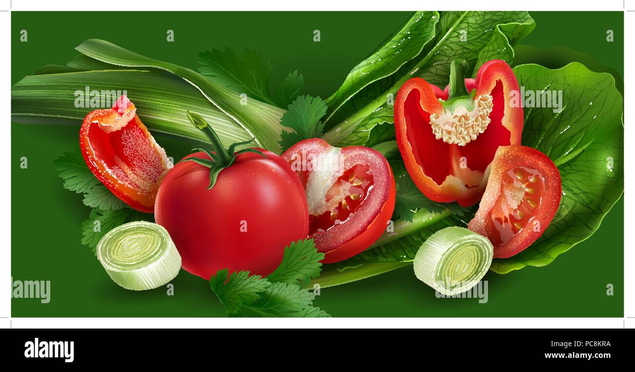 Red and green lettuce Stock Vector Images Alamy