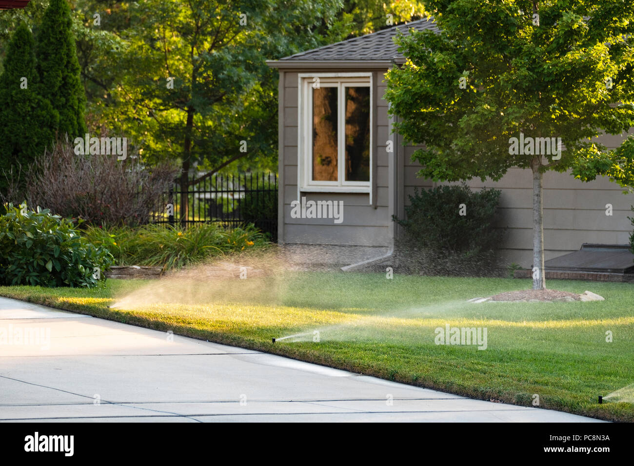 An in-ground sprinkler system watering a lawn. USA. Stock Photo