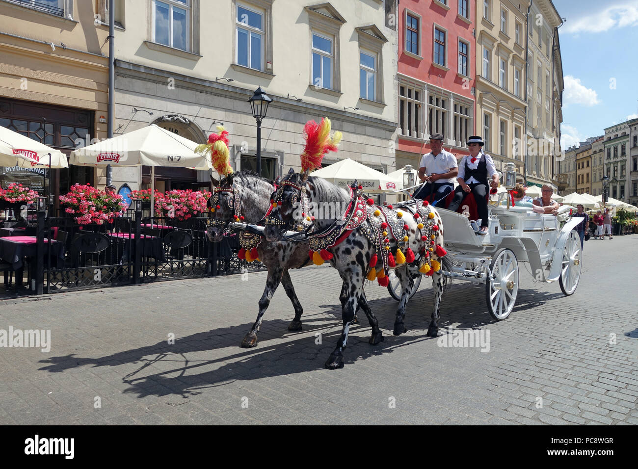 Horse drawn tourist carriages Krakow Poland Stock Photo