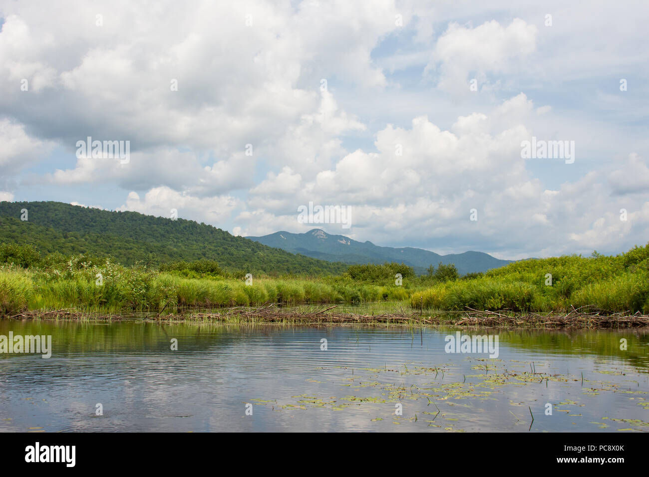 A beaver dam on the Miami River in the Adirondack Mountains with a view of Snowy Mountain in the distance. Stock Photo