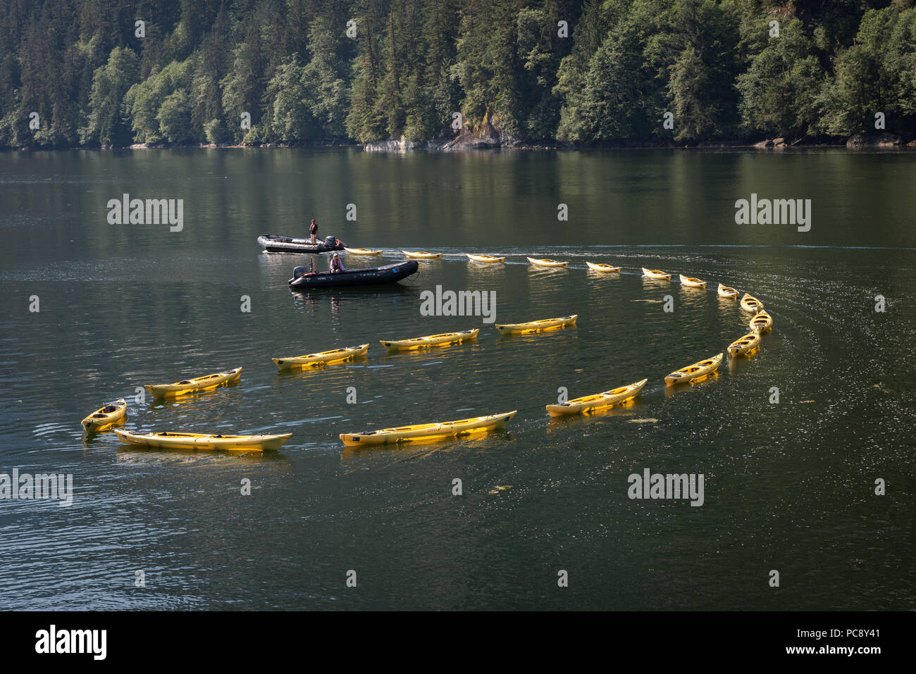 A string of  empty yellow kayaks form a spiral shape as they are towed behind a zodiac manned by crew members from MS National Geographic Sea Bird. Stock Photo