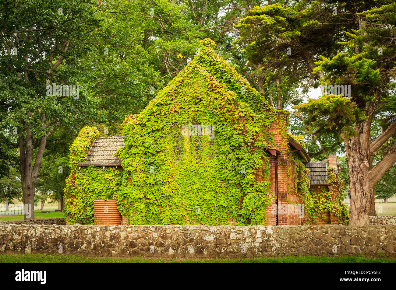 Iconic Gostwyck Chapel covered in ivy. Stock Photo