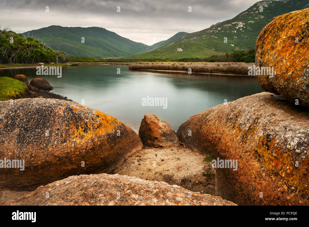 Colourful lichen-covered rocks at Tidal River in Wilsons Promontory National Park. Stock Photo