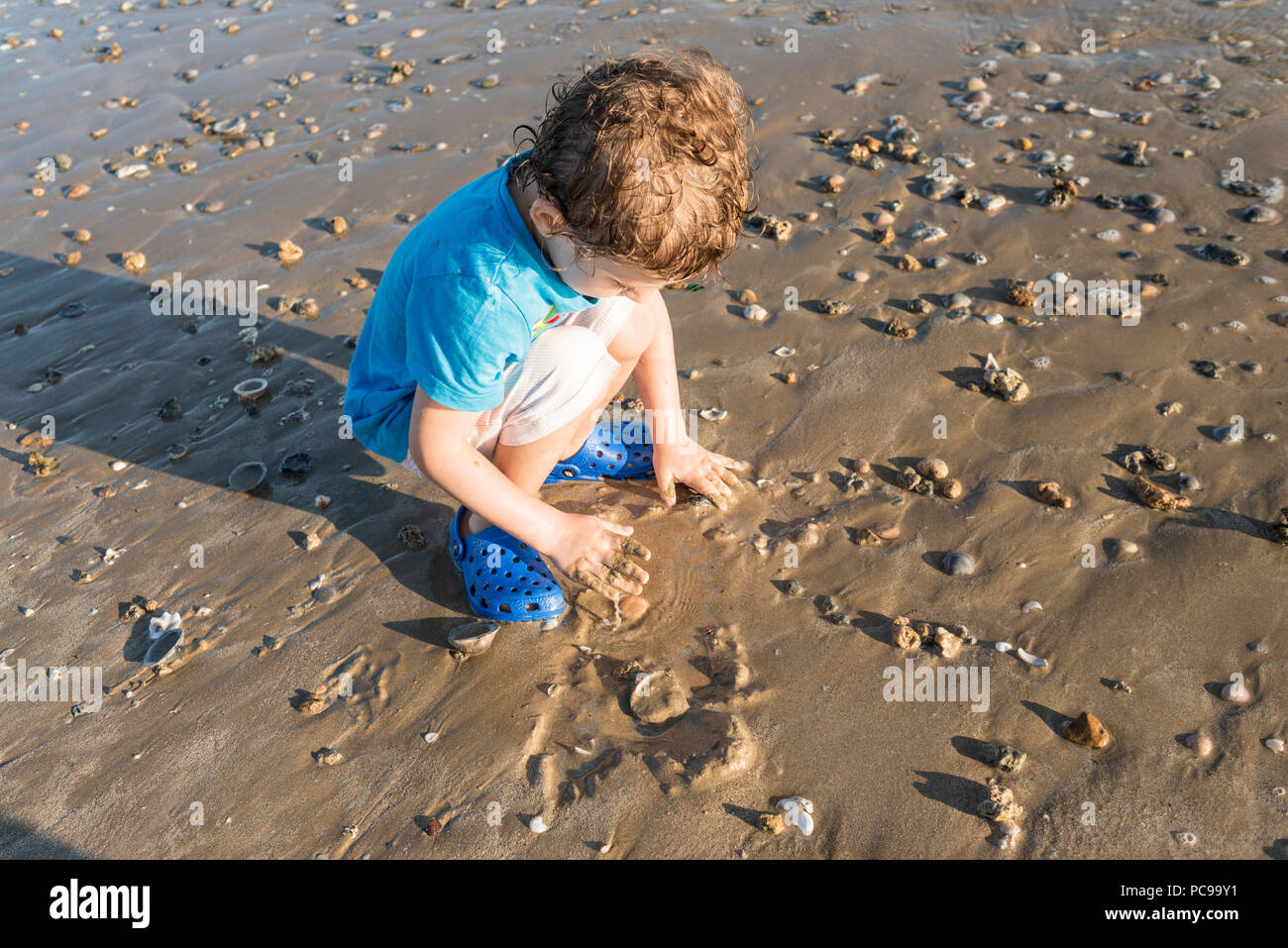 Boy playing with shells hi-res stock photography and images - Alamy