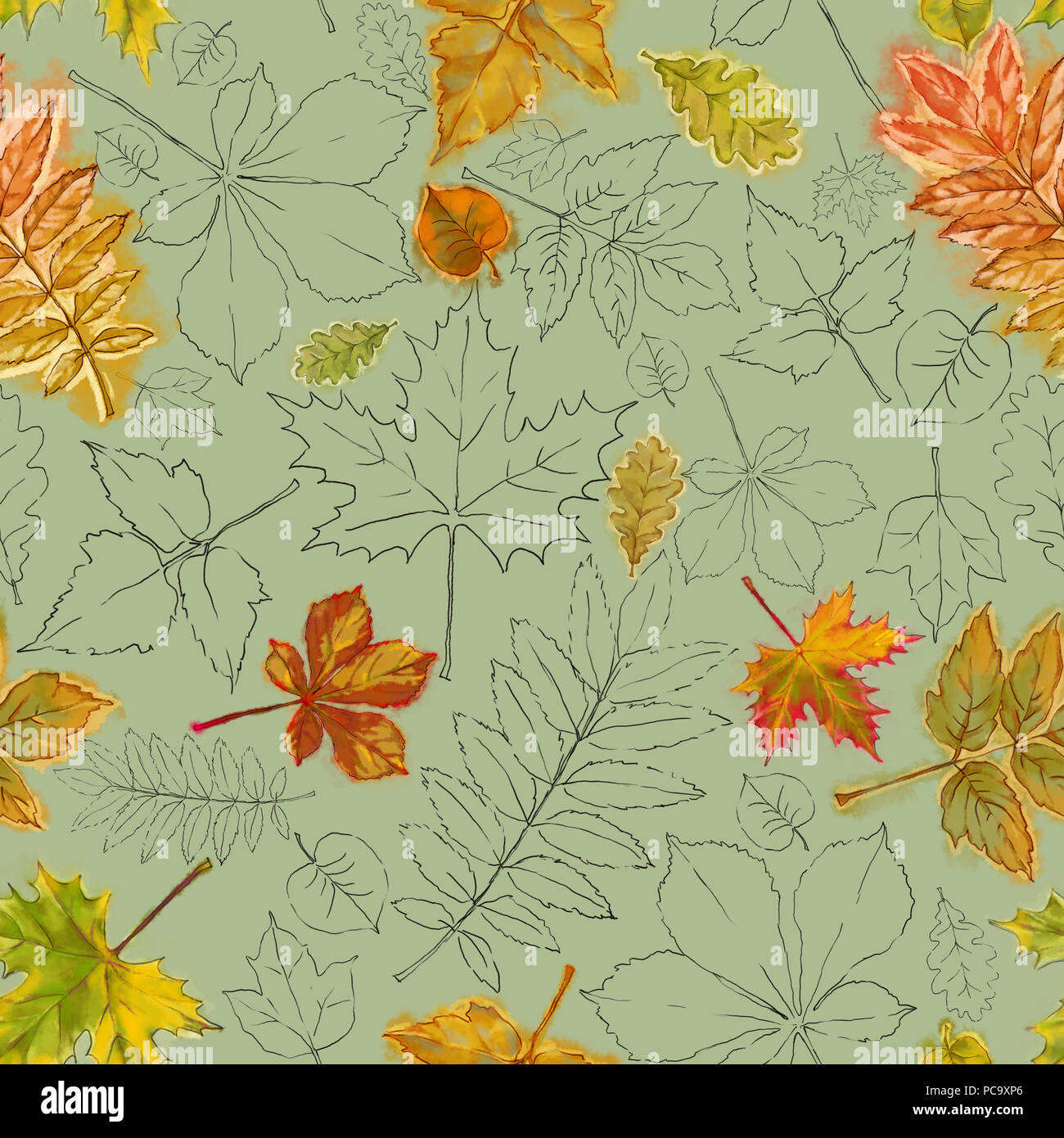 Line pattern on leaves hi-res stock photography and images - Alamy