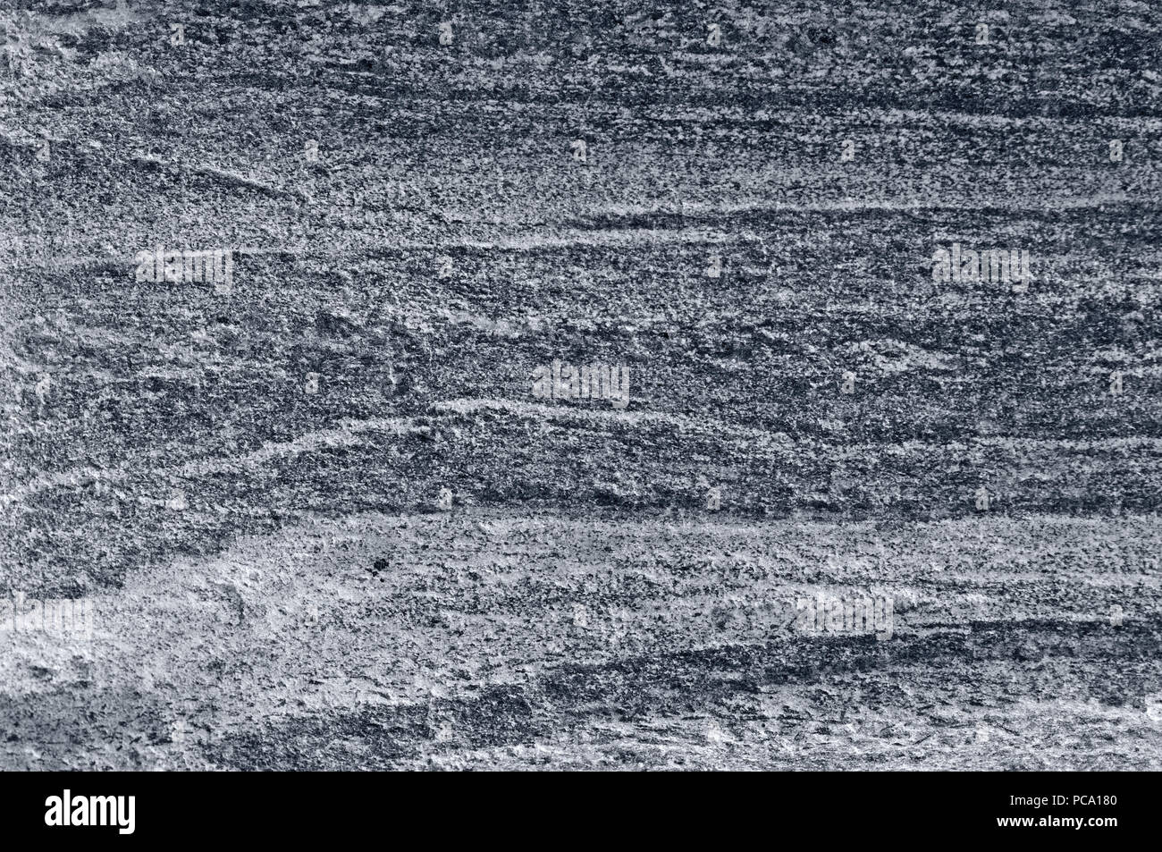 Migmatitic gneiss migmatite rock bands pattern, grey light dark banded granite texture macro closeup, large detailed textured silver gray horizontal Stock Photo