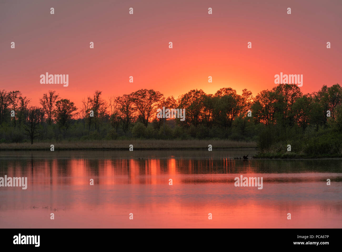 Sunset, Crex Meadows Wildlife Management Area, WI, USA, by Dominique Braud/Dembinsky Photo Assoc Stock Photo