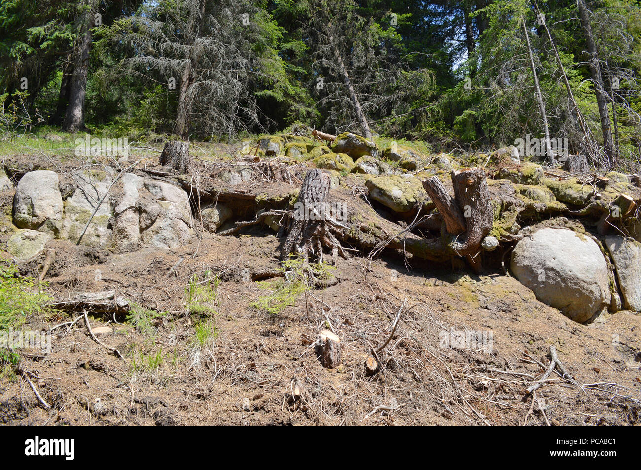 Western Rhodopes Western rhodopes hi-res stock photography and images - Alamy