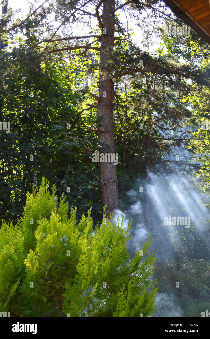 Western Rhodopes Western rhodopes hi-res stock photography and images - Alamy