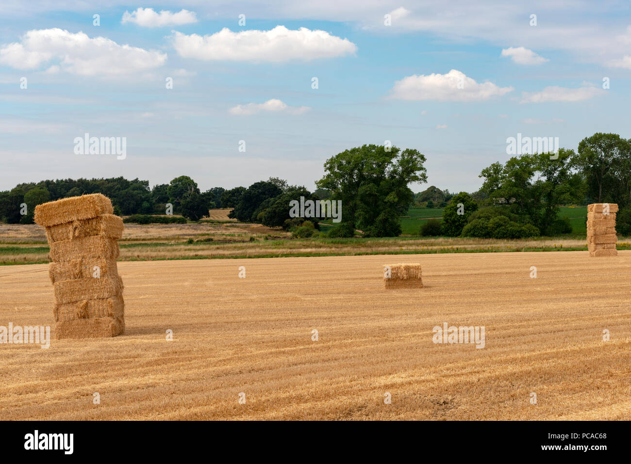 Large straw bales stacked in a field, Shottisham, Suffolk, UK Stock
