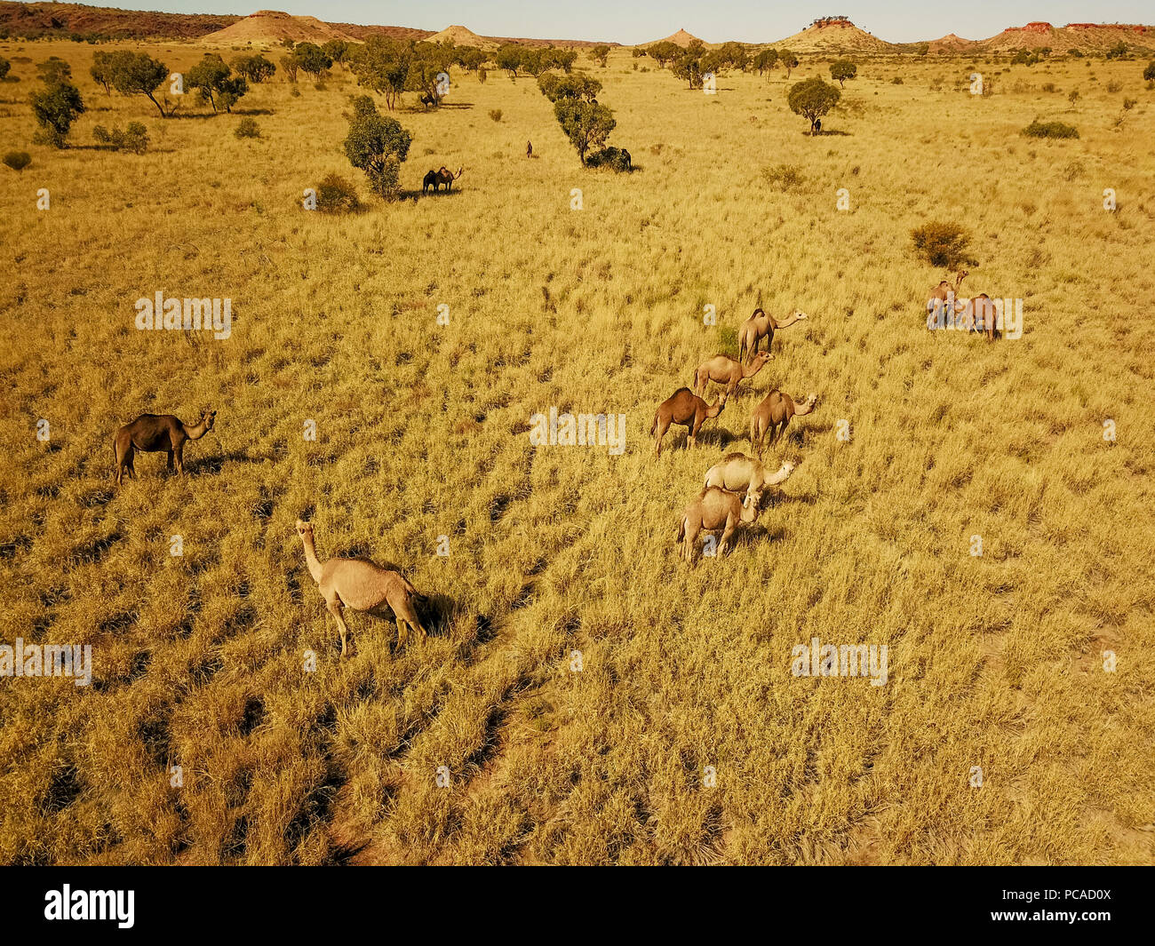 Of Rudall Rivers Rudall river australia hi-res stock photography and images - Alamy
