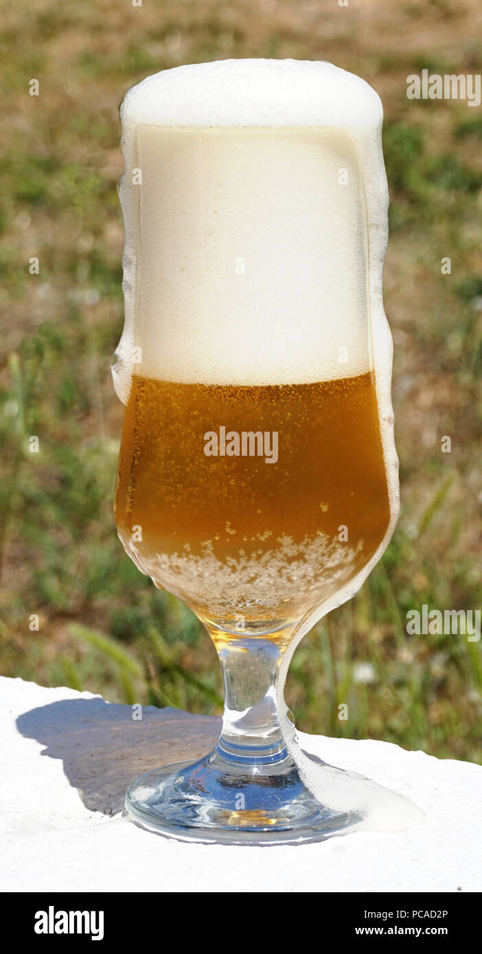 Close up view of cold beer in a beer glass with beer foam drains from the glass. Refreshment for beer lovers in a very sunny summer day Stock Photo