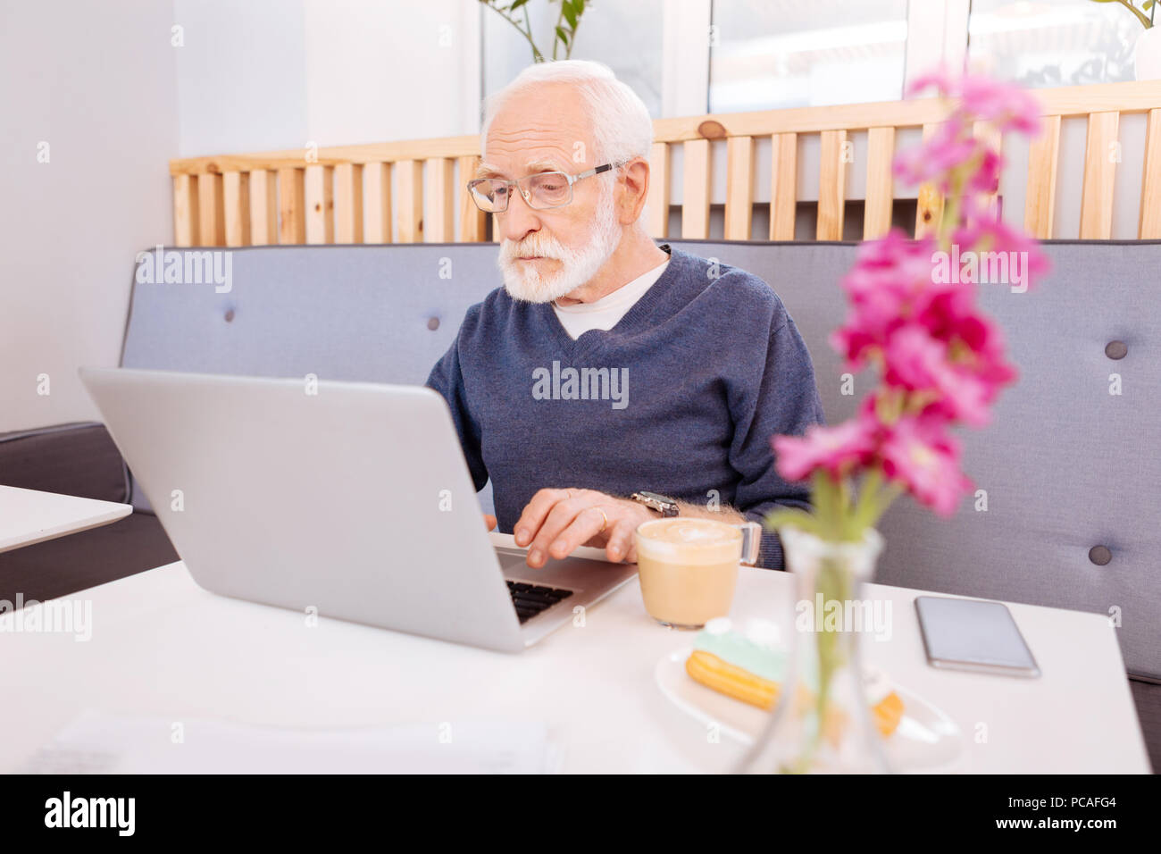 Focused senior freelancer working on laptop Stock Photo