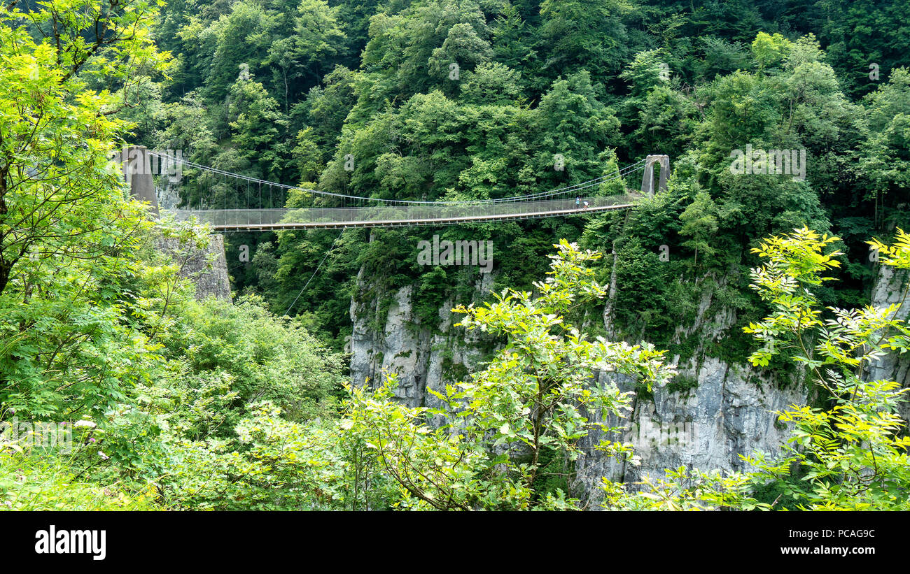 the Holtzarte suspension bridge, Aquitaine, France Stock Photo Alamy