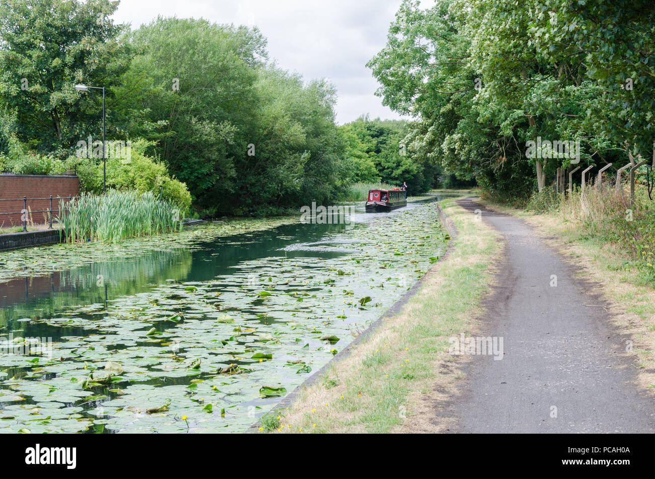 The Birmingham Canal in Tipton, Dudley which runs between Birmingham and Wolverhampton with water lilies growing in the unpolluted water Stock Photo