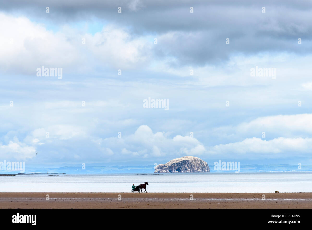 19-07-15 Belhaven Bay, Dunbar, East Lothian, Scotland, UK. Horse and sulky trotting on Belhaven beach. Photo: © Simon Grosset Stock Photo