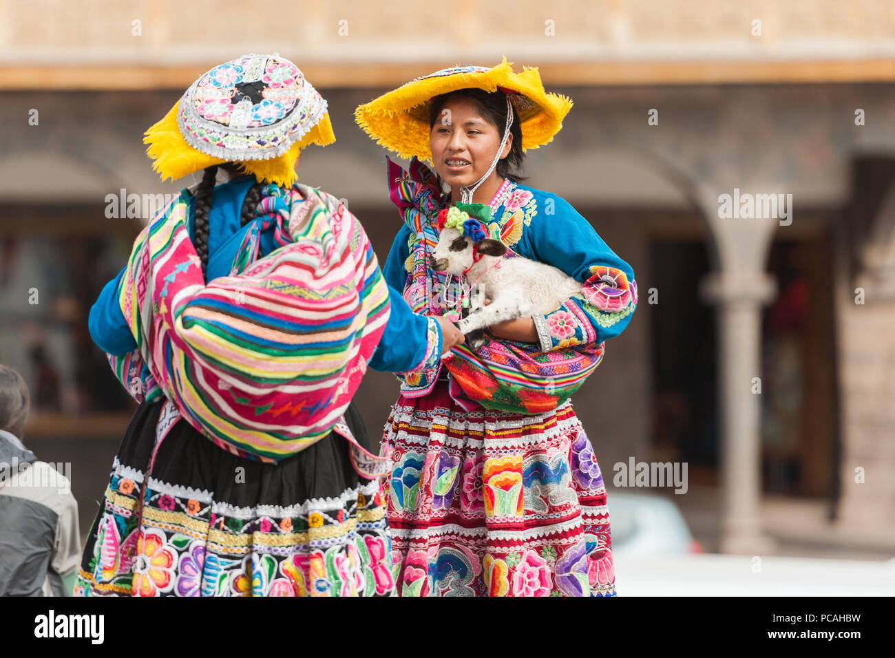 Baby llama in peru hi-res stock photography and images - Alamy