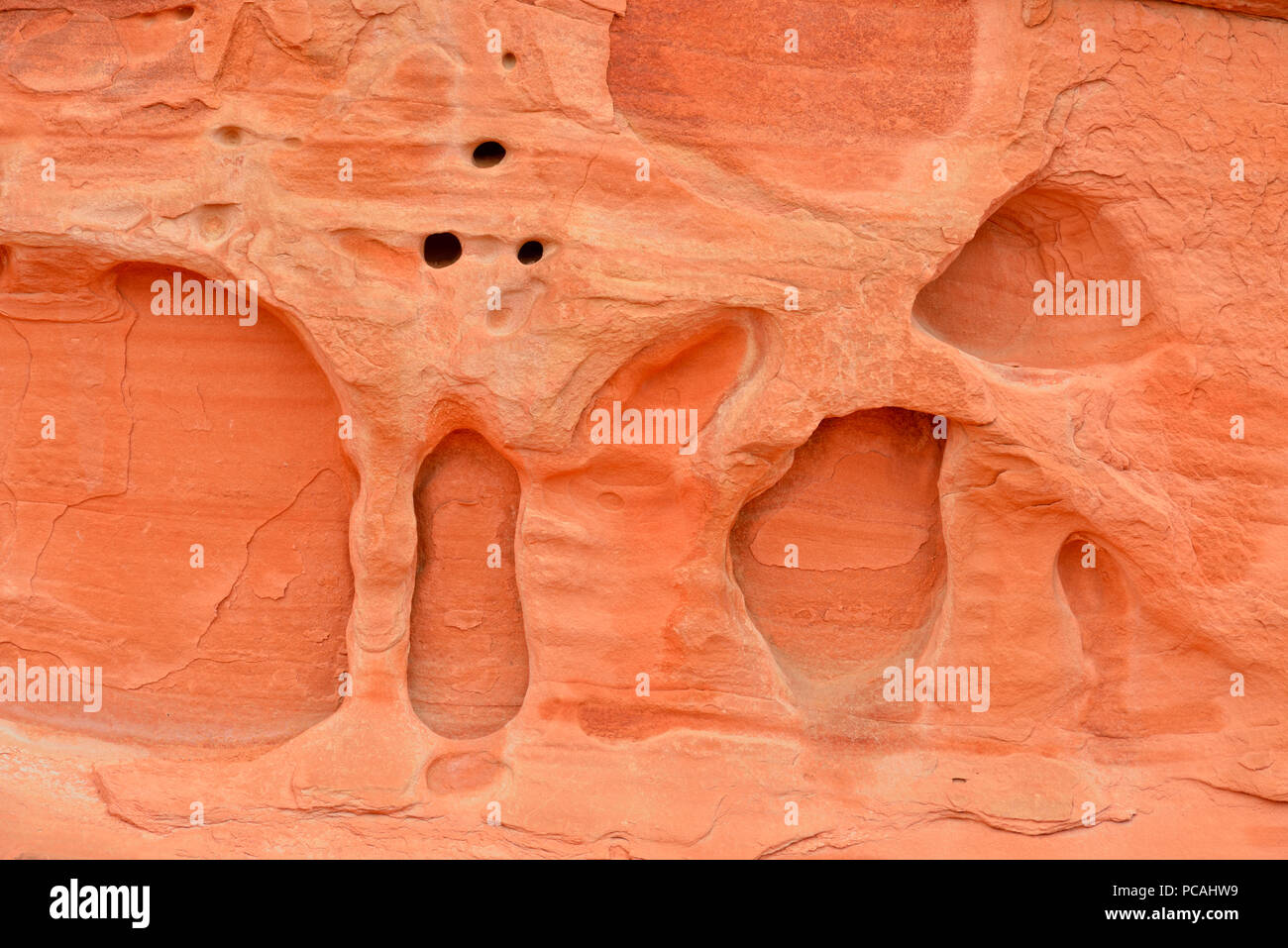 Weathered Red Rocks Weathered red rock formations in the desert, Valley of Fire State Park ...