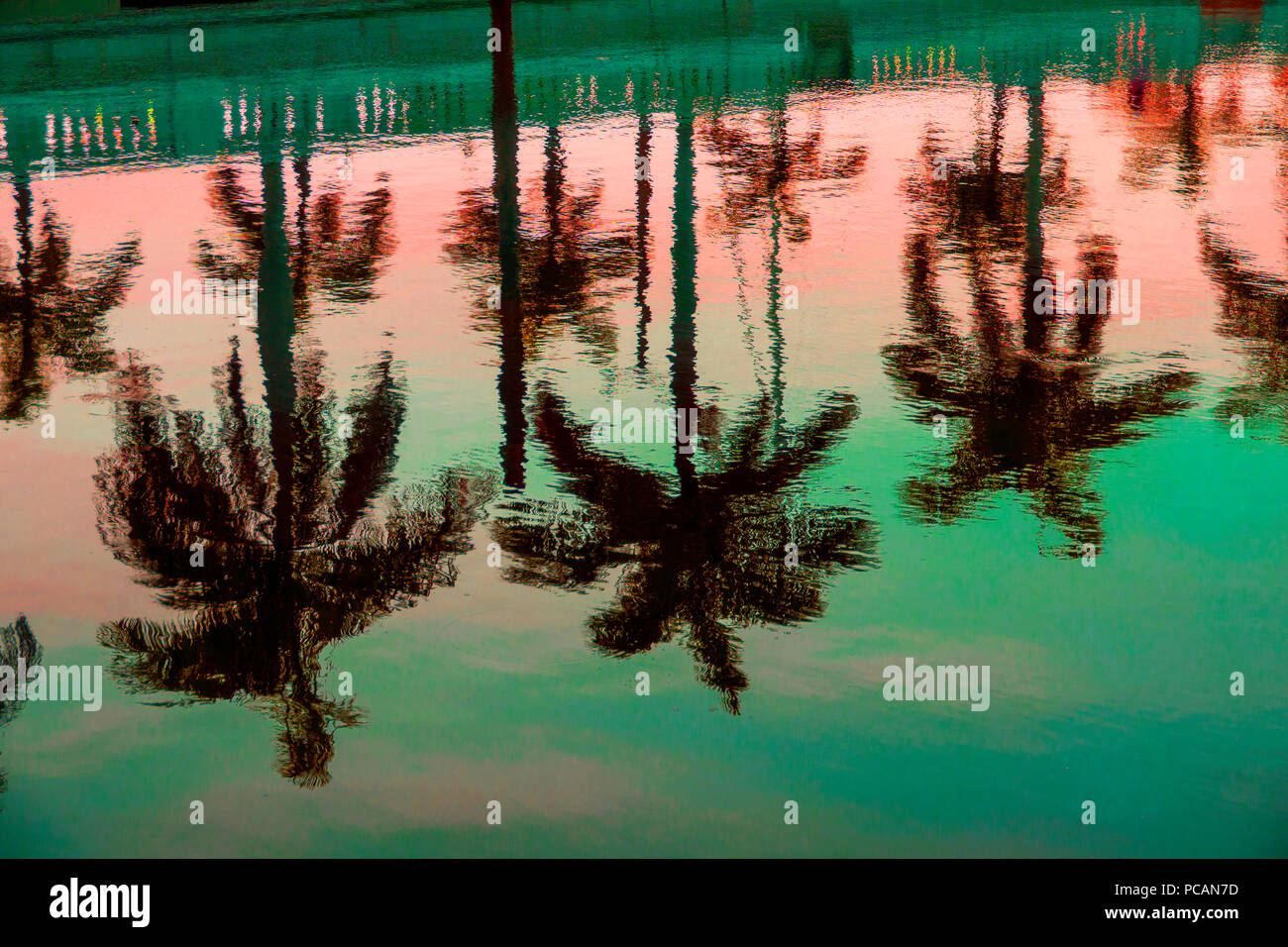 Silhouette trees in water hi-res stock photography and images - Alamy