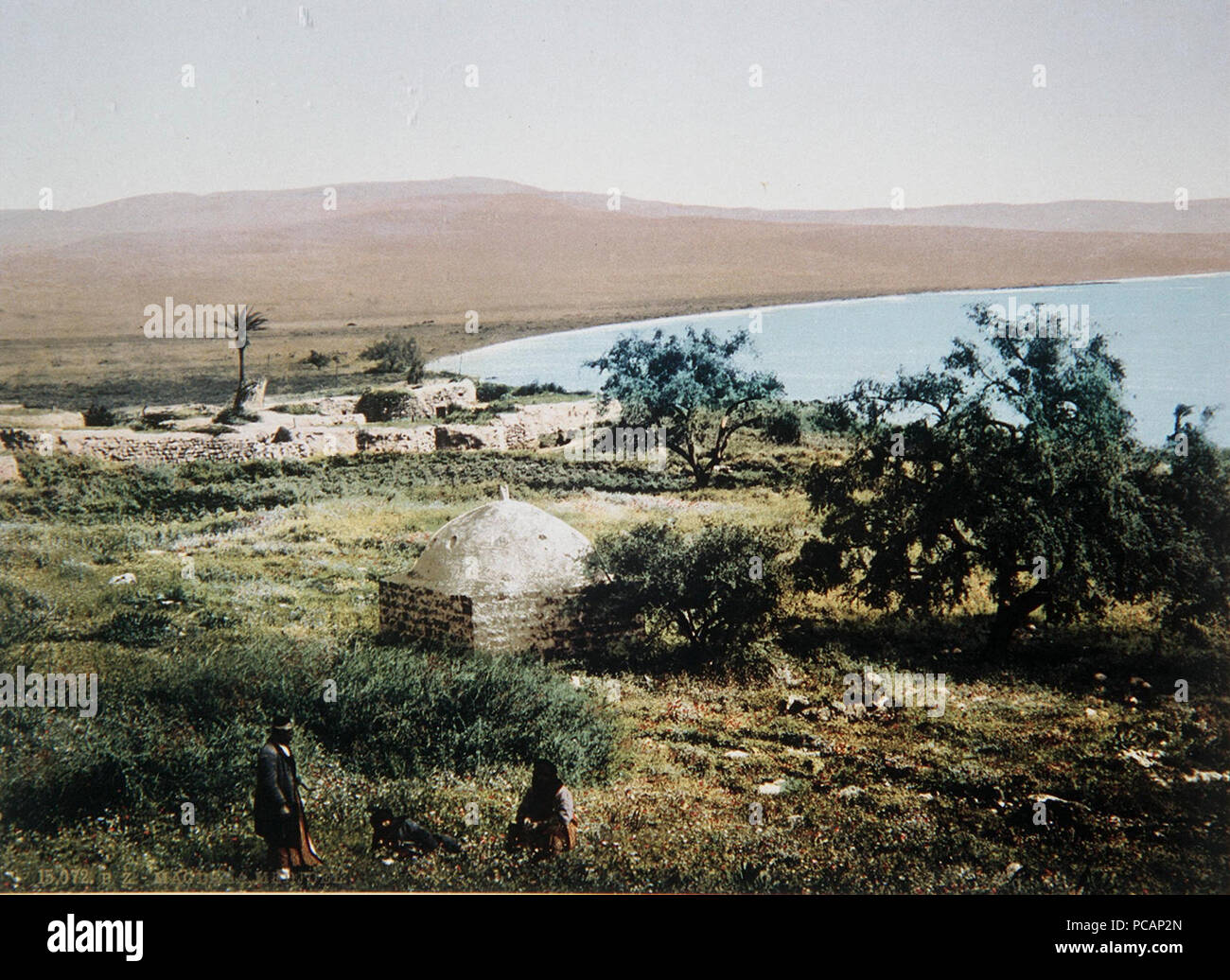 Al majdal hi-res stock photography and images - Alamy