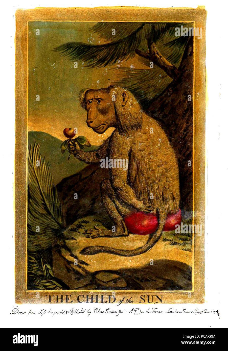 Charles catton art hi-res stock photography and images - Alamy