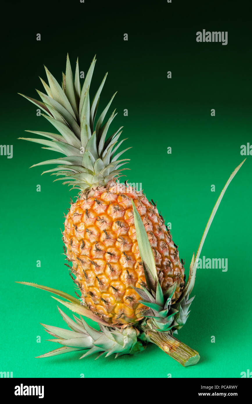 Pineapple whole organic green background with new shoots on stem Stock Photo