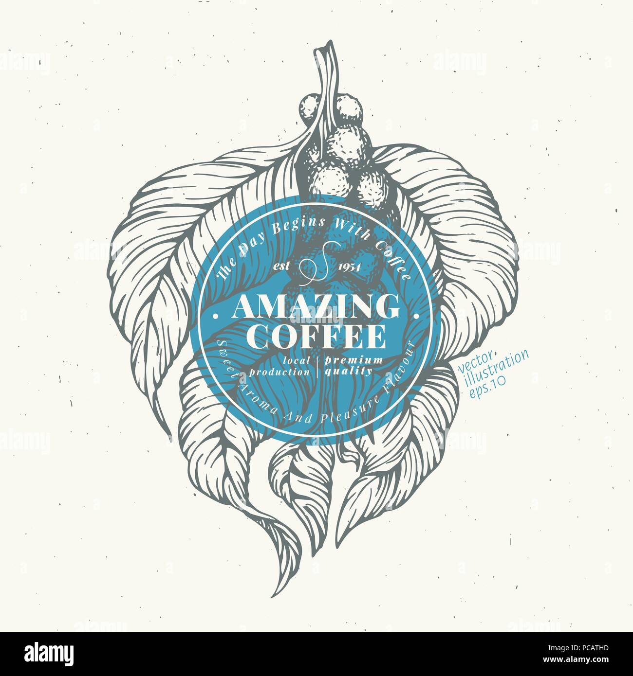 Coffee beans vector illustration. Engraved retro style illustration ...