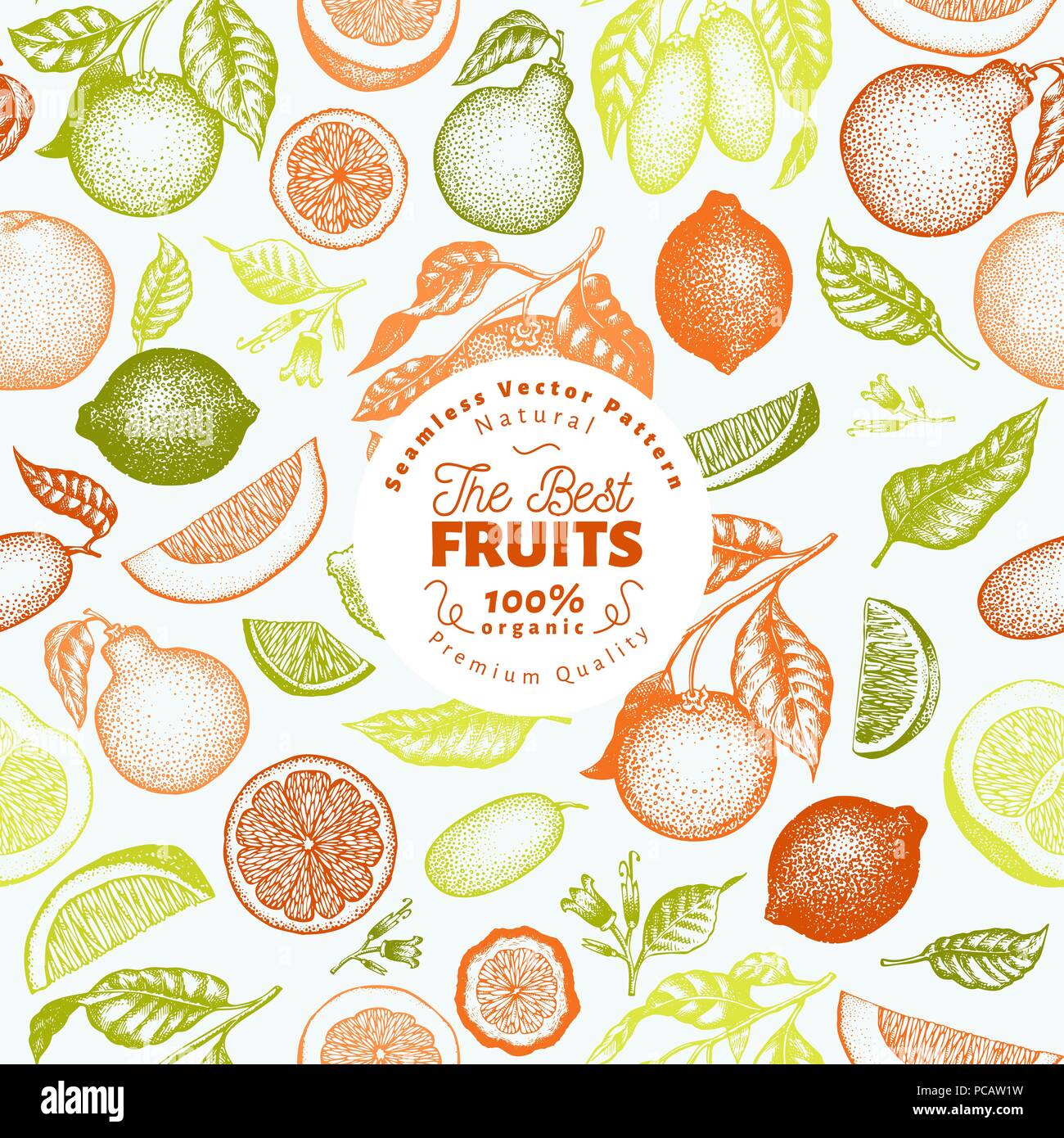 Citrus fruits seamless pattern. Hand drawn vector fruit illustration ...