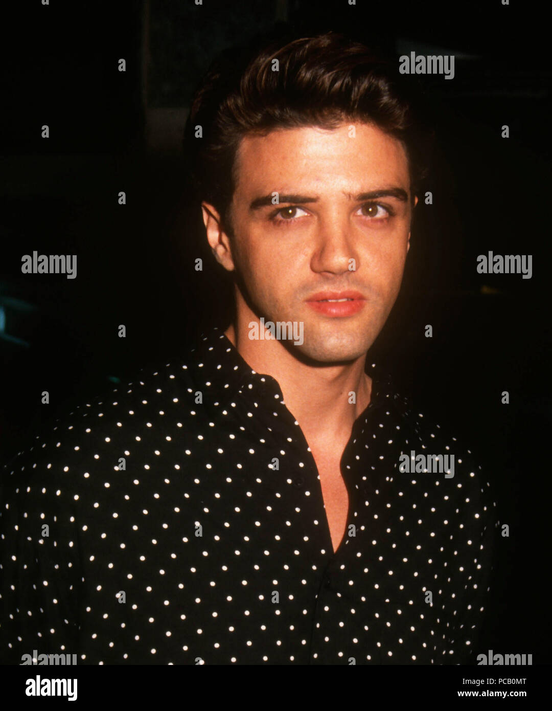 LOS ANGELES, CA MAY 7 Actor Michael St. Gerard attends 'The Favour, the Watch and the Very