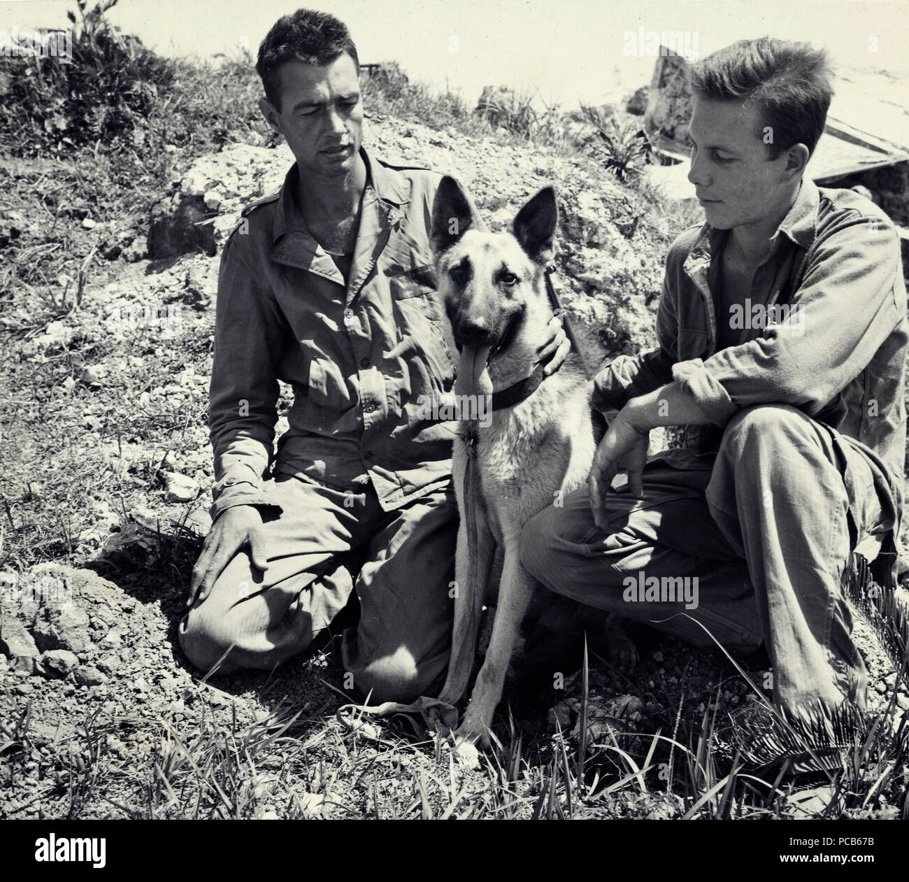 Ww ii dog hires stock photography and images Alamy