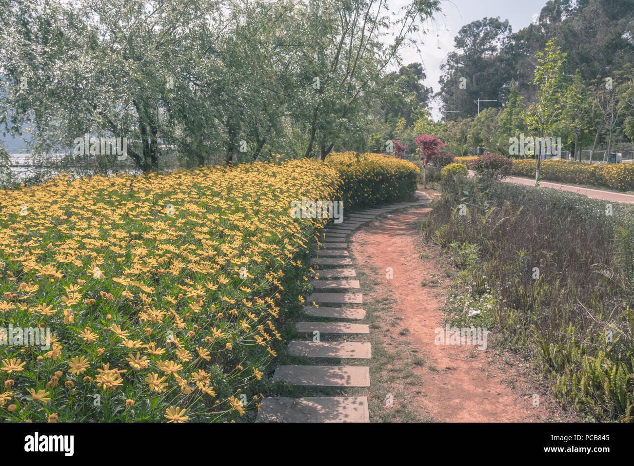 Landscape of Kunming Garden, China Stock Photo
