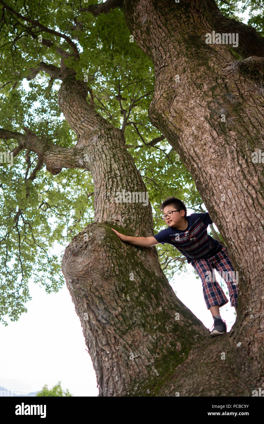 Big tree and Kids Stock Photo - Alamy