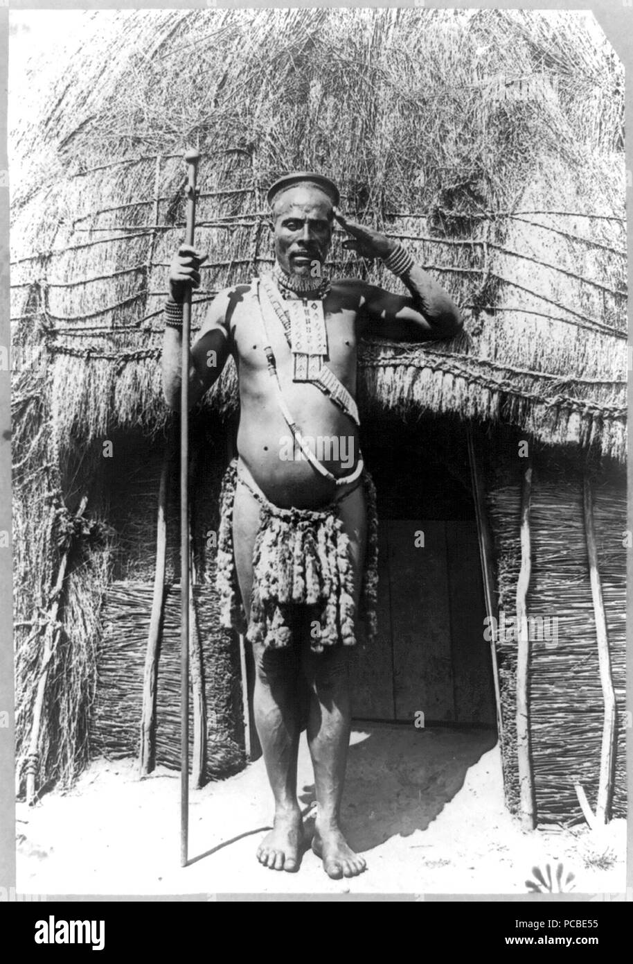Zulu chief, South Africa 1880-1905 Stock Photo
