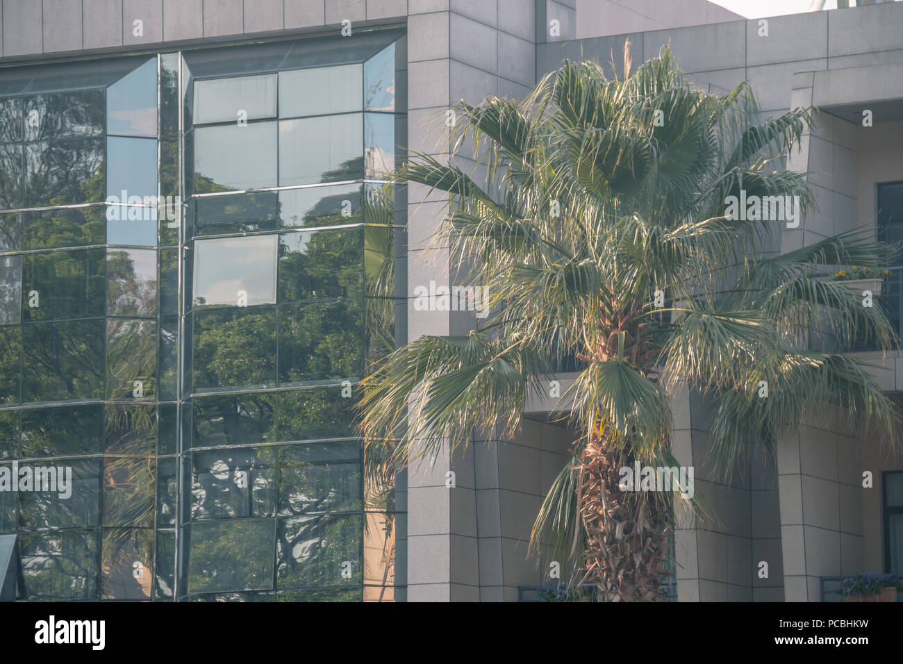 Modern architecture and coconut tree Stock Photo