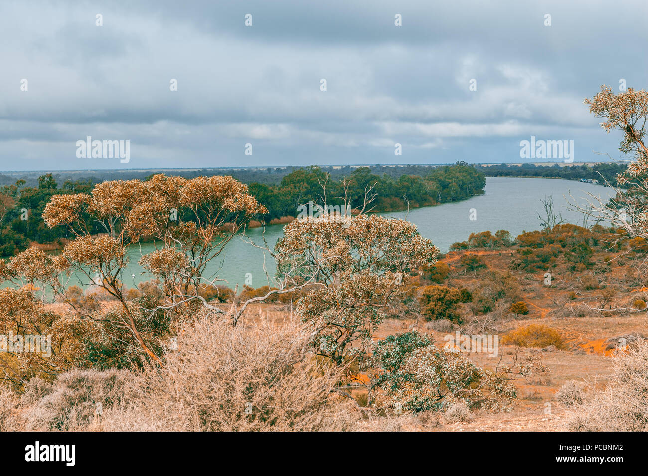Beautiful Murray River in Riverland, South Australia Stock Photo Alamy