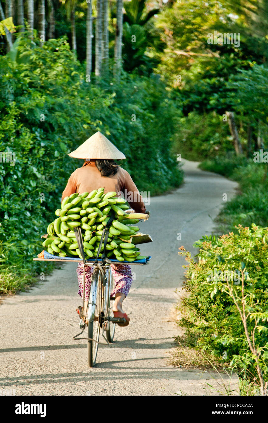 A Vietnamese woman rides a bicycle loaded with bananas Stock Photo