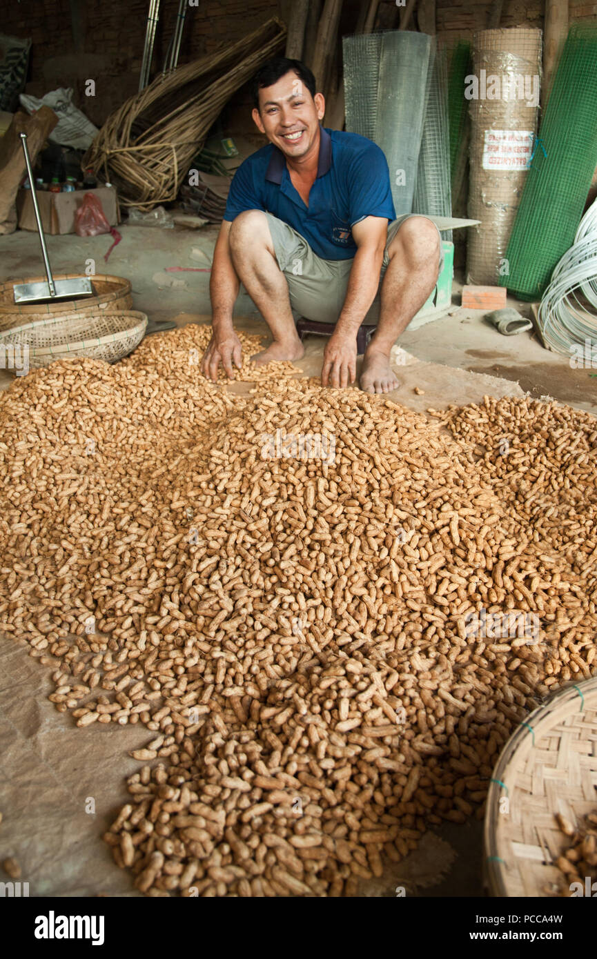 A Vietnamese man sorting peanuts to sell Stock Photo