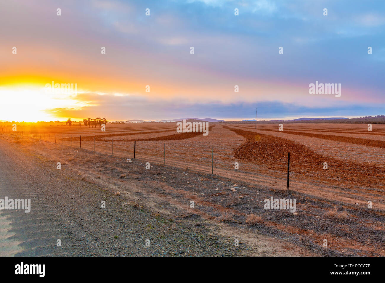 Rural field australia hi-res stock photography and images - Alamy