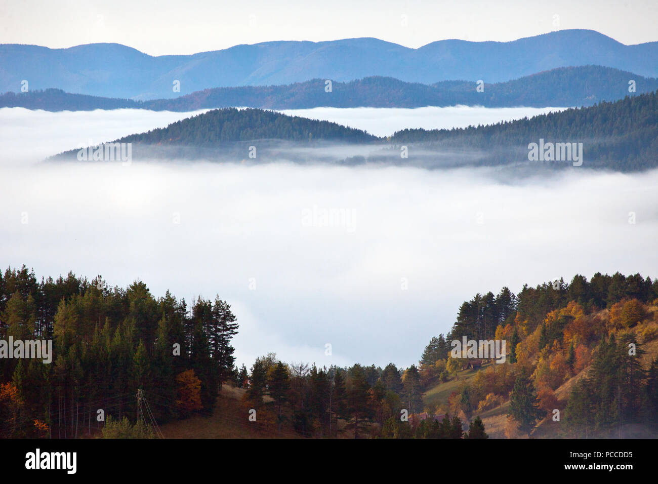 Autumn in the Rhodope Mountains, Bulgaria. Early morning. The mountain is covered with fog. Stock Photo