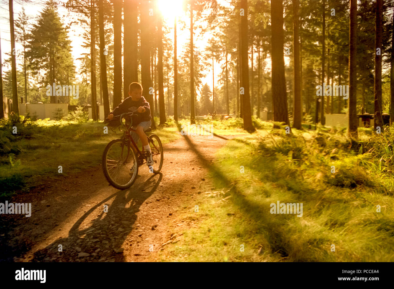 Cycling at Centre Parcs in Wiltshire Stock Photo Alamy