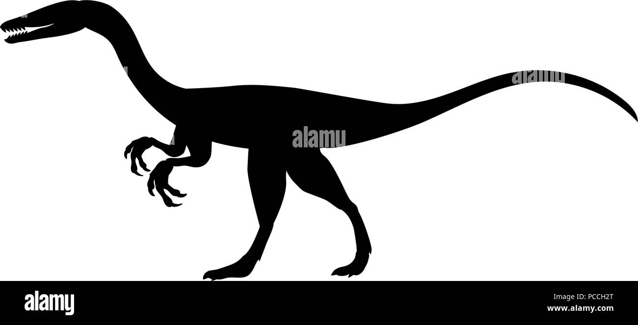 Coelophysis silhouette dinosaur jurassic prehistoric animal Stock Vector