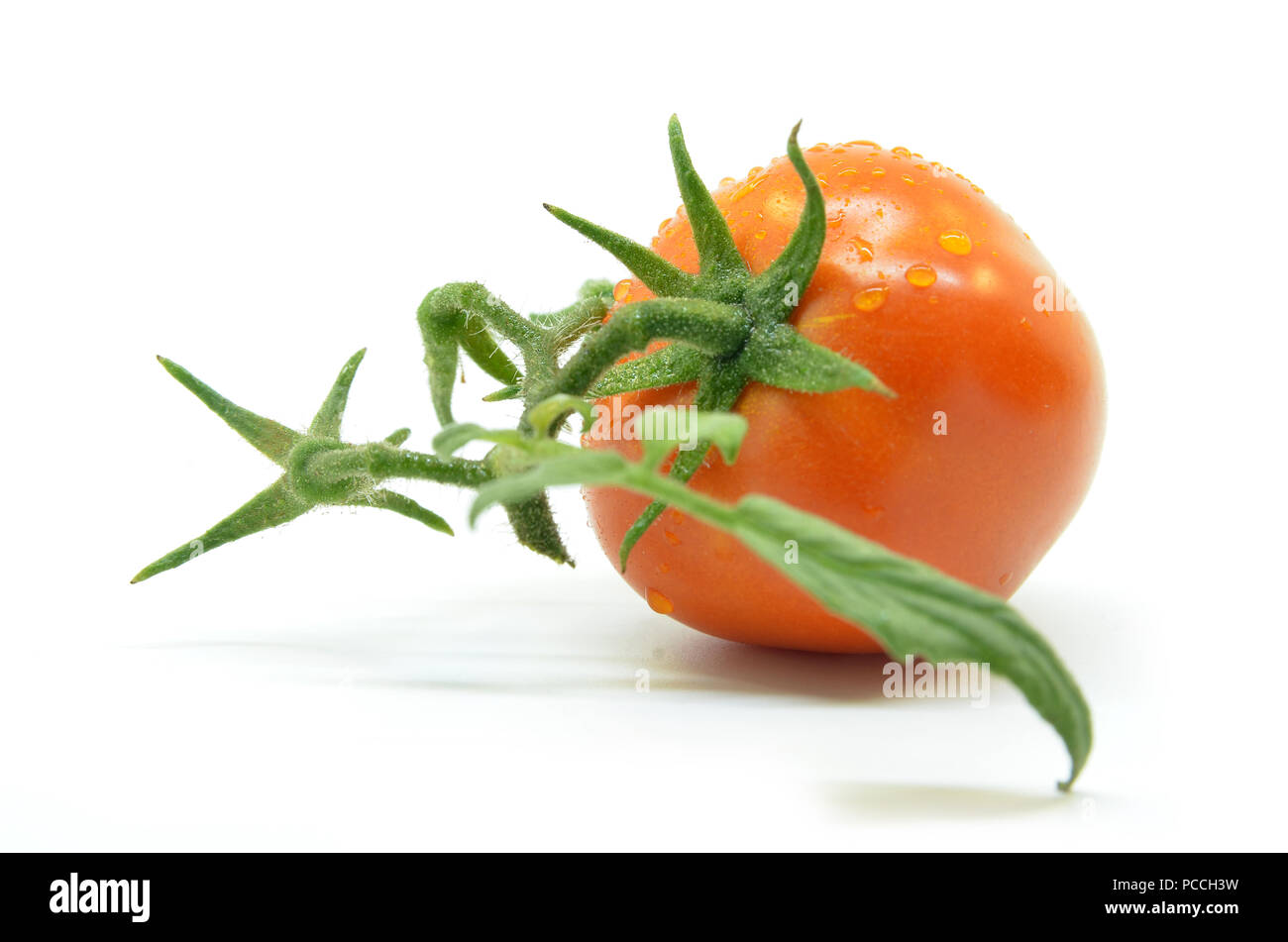 Fresh tomato with water drops isolated on white Stock Photo - Alamy