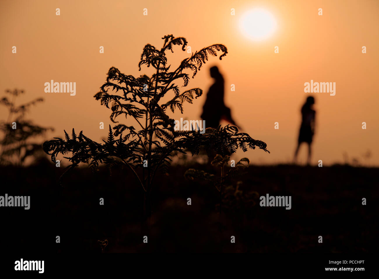 Women Silhouette,Mother and girl child Stock Photo