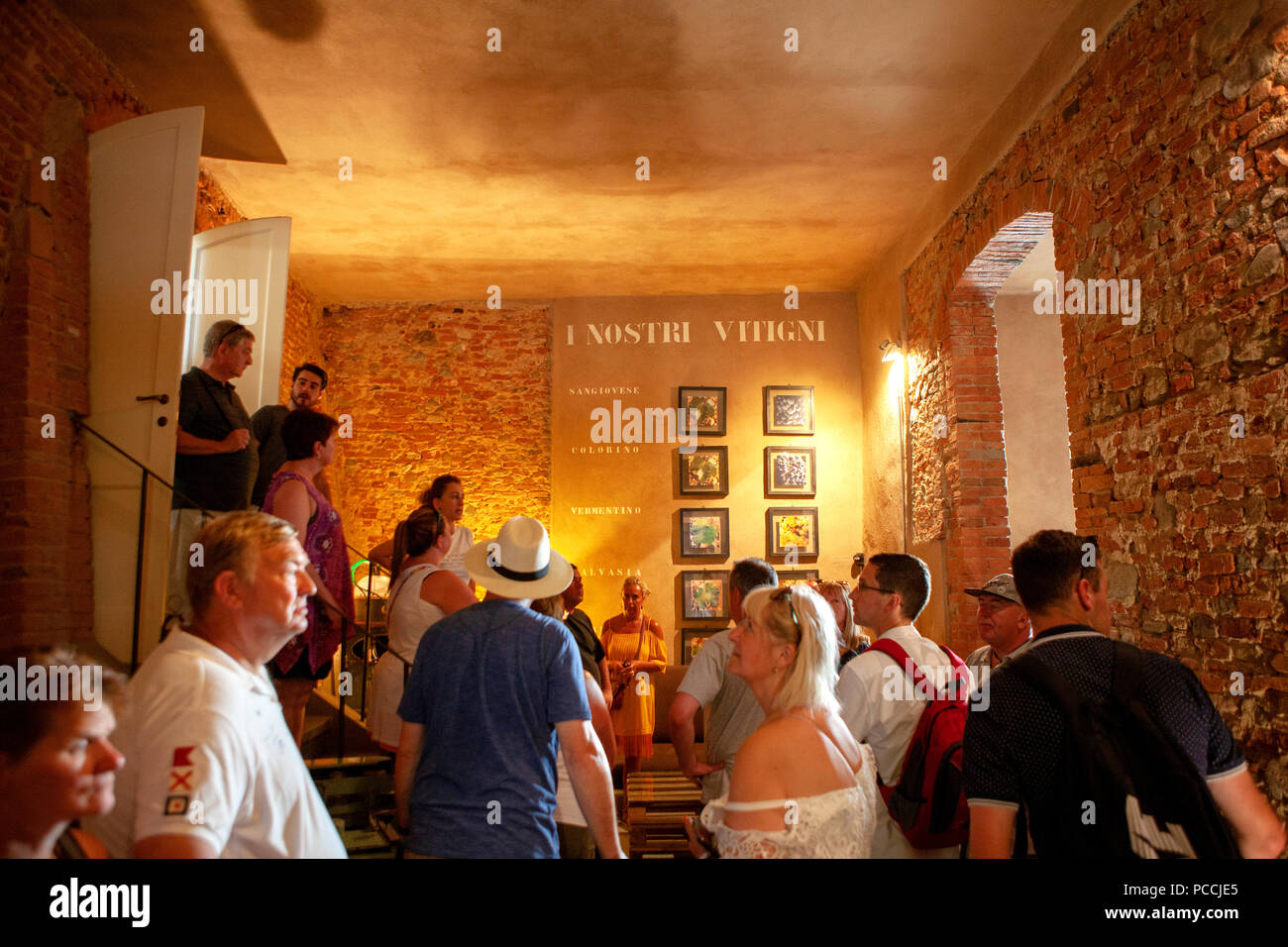 Fattoria Dianella Tuscan winey wine making in the ancient historical