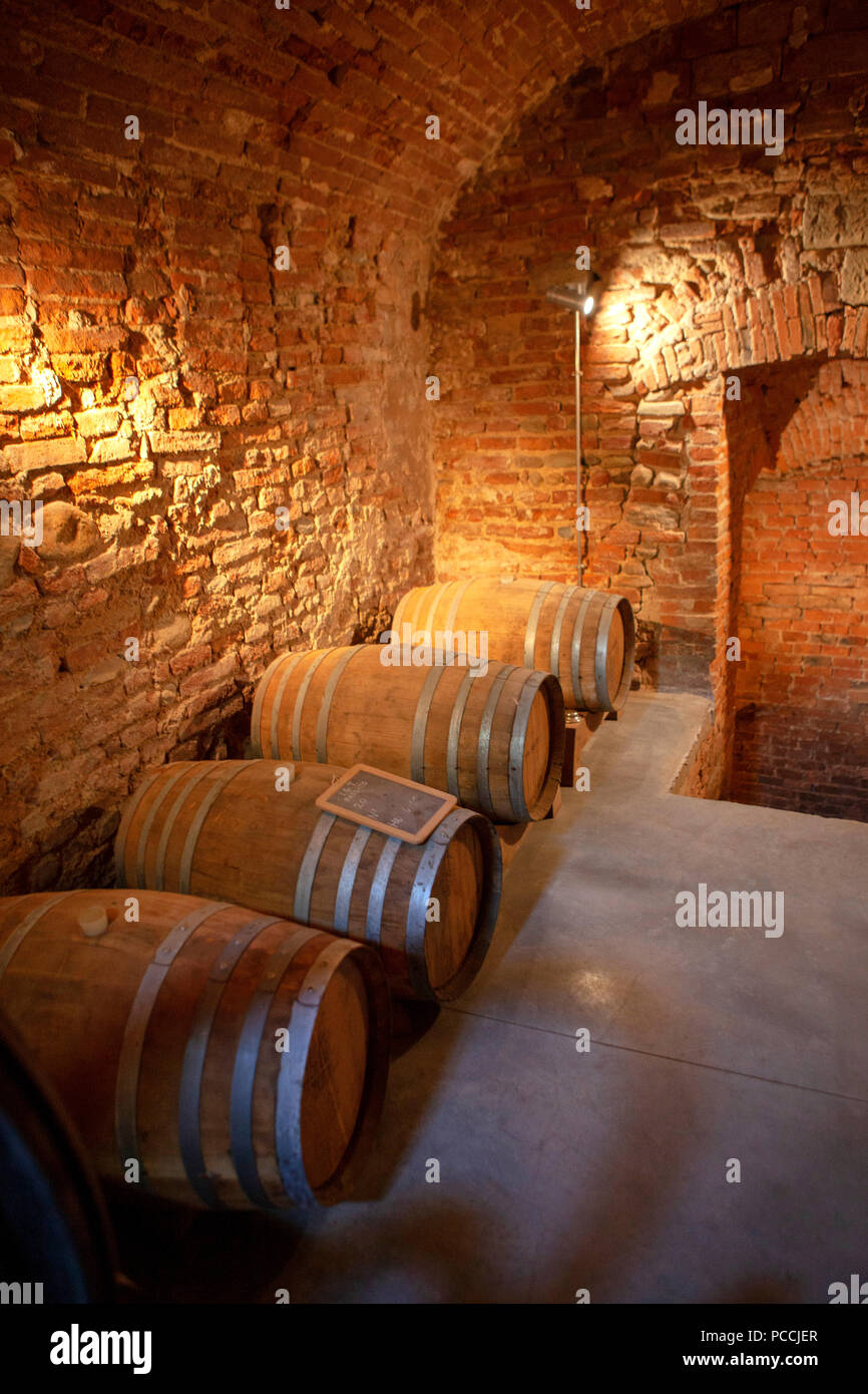 Fattoria Dianella Tuscan winey wine making in the ancient historical