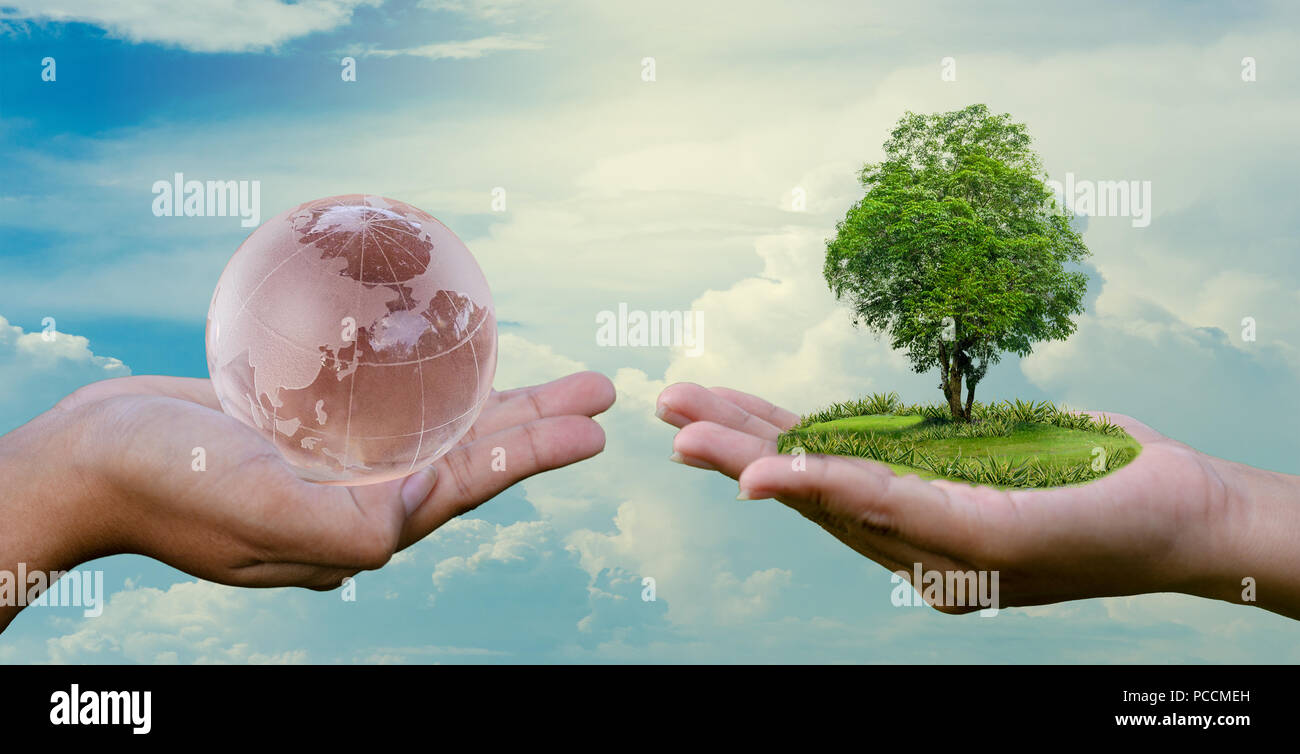 Concept Save the world save environment The world is in the hands of the sky Stock Photo